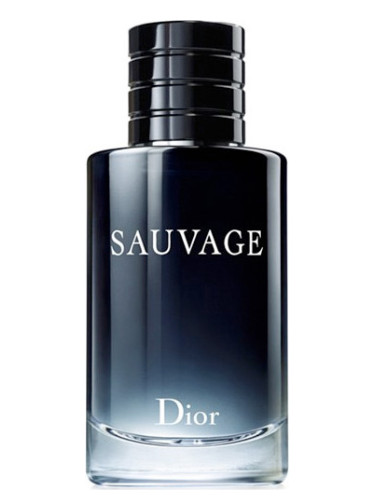 Sauvage 2015 (Christian Dior) (30mL)