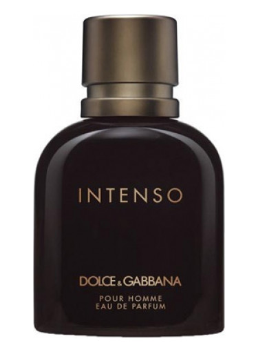 Pour Homme Intenso (Dolce & Gabbana) (30mL)